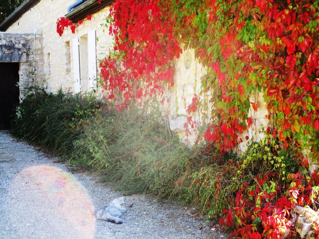 Gites Coeur De Lot Soucirac Eksteriør billede